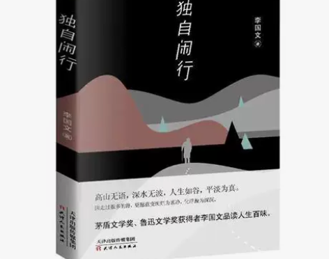 正版 独自闲行 李国文茅盾文学奖散文人生与...