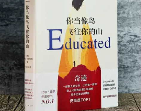 你当像鸟飞往你的山/比尔盖茨推荐 国外文学...