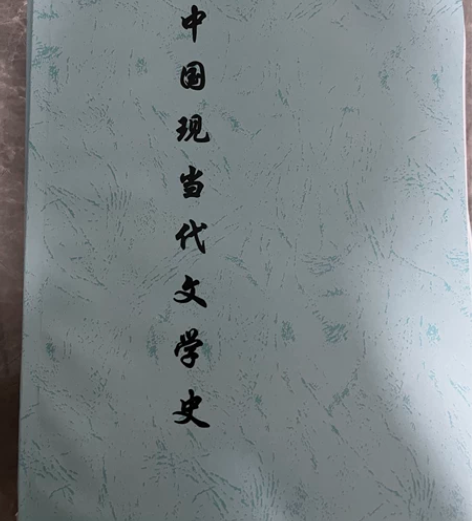 中国现当代文学史/文学理论/文学理论导引资...