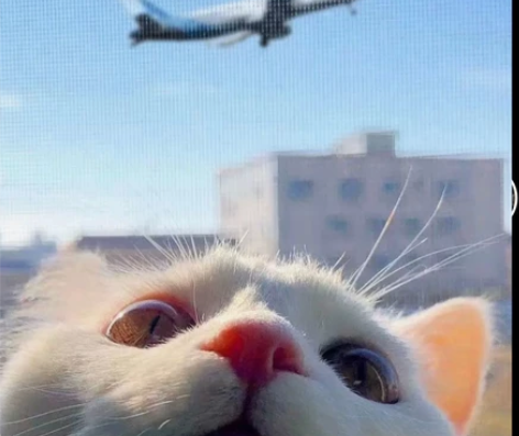 QQ超级会员/腾讯视频会员 感兴趣的话点“...