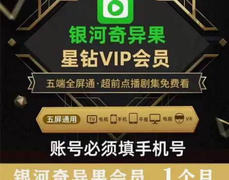 爱奇艺VIP星钻会员一个月卡会员充值银河奇...
