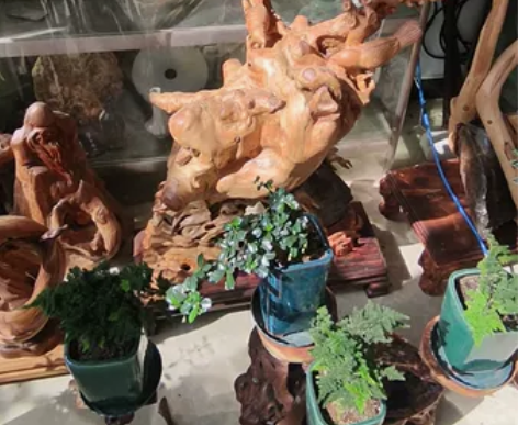 木雕工艺品置换成年狗狗，要母的，等价交换，...