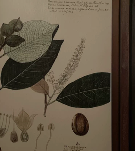 外贸出口美式复古实木木板装饰画花卉植物卧室...