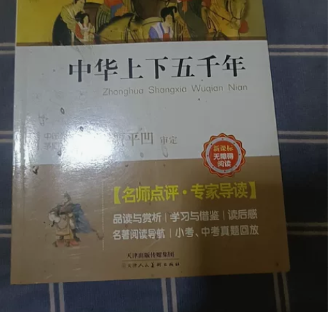 这本书记在千年历史，对语文有大大提升 感兴...