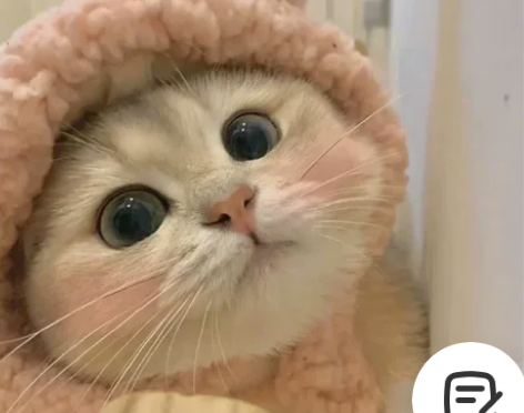 Uu加素器 网易uu加素器  个人账号  ...