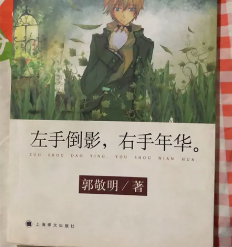 郭敬明《左手倒影，右手年华》绝版了便宜出 ...