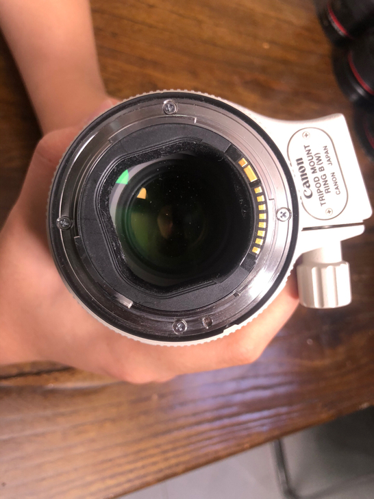 自用佳能70-200mm f2.8 二代 ...