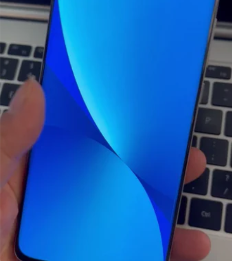 小米12X，8+128Ｇ内存，成色9.9新...