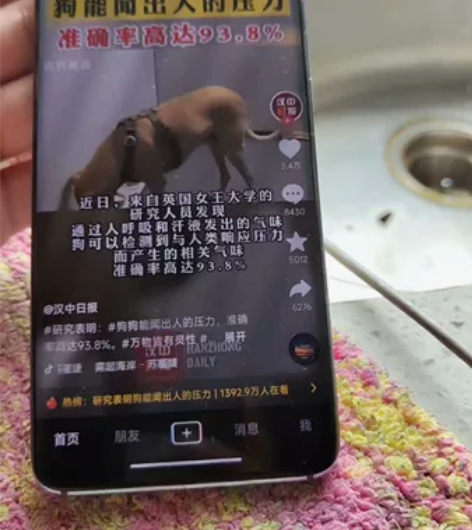 小米10pro 12加256 一切都正常换...