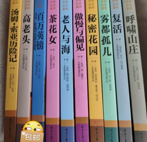世界十大名著书籍简爱红与黑飘悲惨世界巴黎圣...
