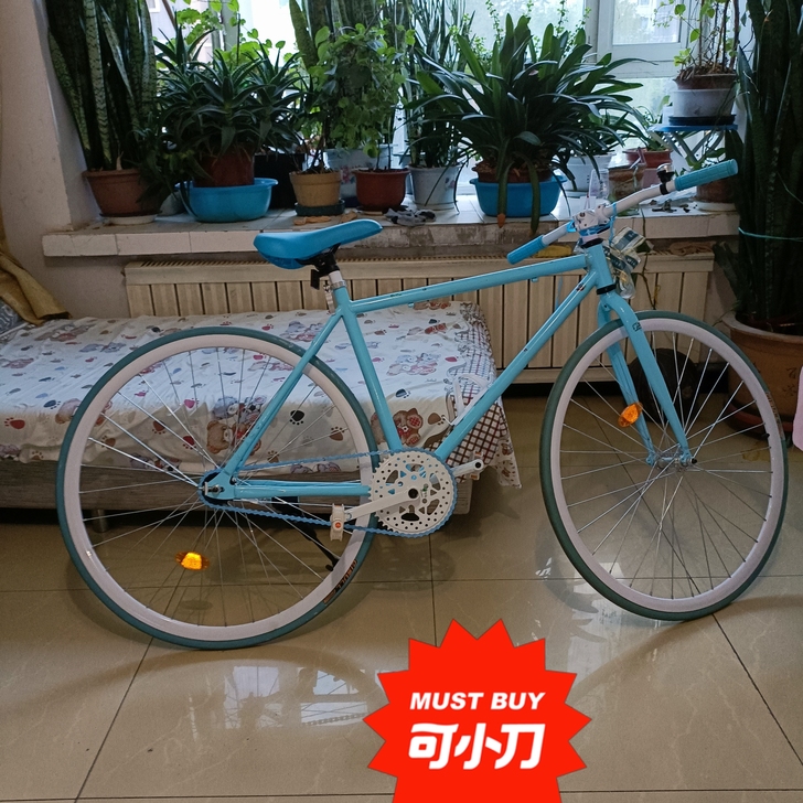 死飞