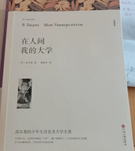 【高尔基】在人间·我的大学 绝对正版！！毕...