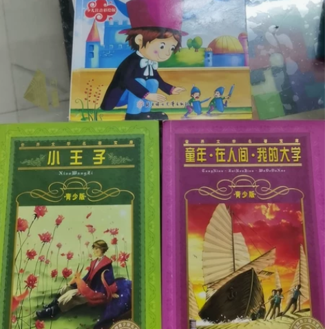 《格列佛游记》、《小王子》、《童年·在人间...