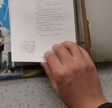 1987我们的红楼梦 你的名字设定集 虫子...