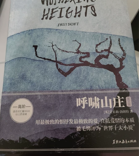 呼啸山庄英文版,全新 薄荷阅读版本,不喜欢...