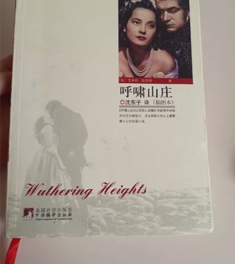 旧书处理#图书几乎全新 呼啸山庄7 追风筝...