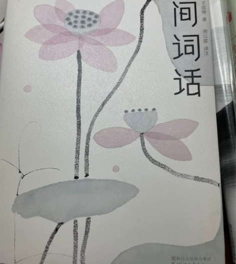 人间词话 王国维著 周公度译注 九成新 内...