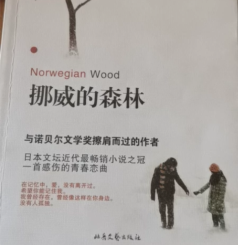 挪威的森林 感兴趣的话点“我想要”和我私聊...