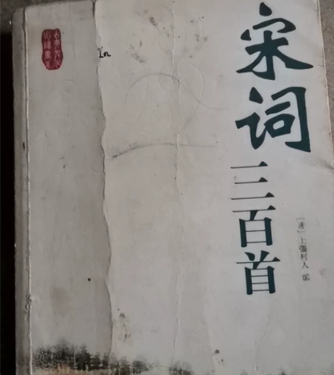 宋词三百首，狼图腾 古文观止，菜根谭。苏东...