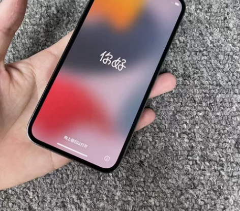 IPhone 12 Pro 黑色 256G...