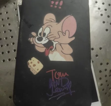 努比亚z17 mini，只是充电不了电，换...