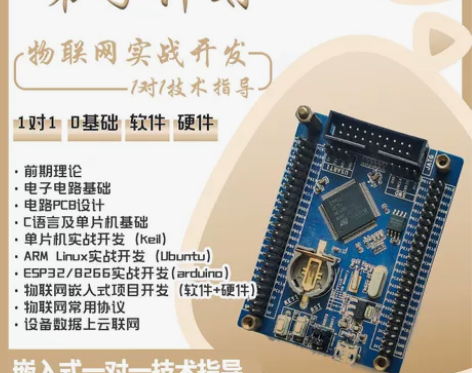 物联网C语言实战技术咨询，单片机，ARM，...