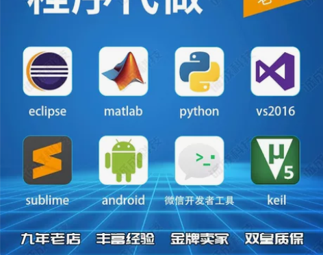 代码编写java代写程序设计python深...