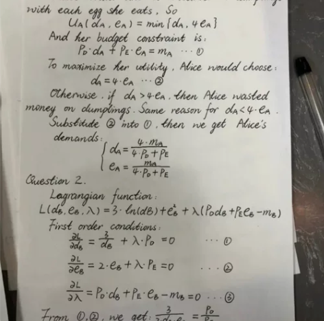 留学生辅导学习答疑，英文答疑金融/经济/数...