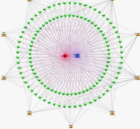 网络药理学全程，直接发药物名和疾病名。 可...