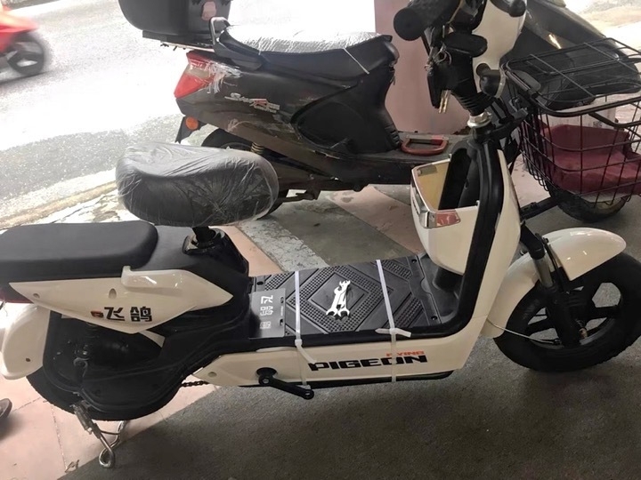 全新的全套飞鸽新国标电动车成人电动自行车4...