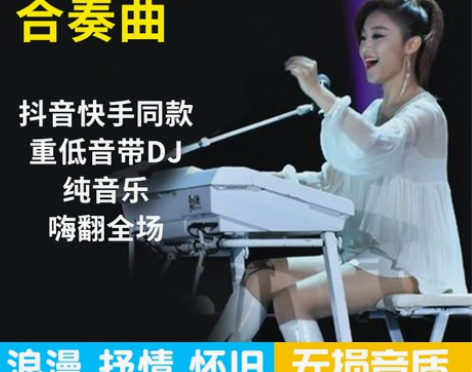 电子琴音乐U盘车载重低音DJ抖音笛子架子鼓...