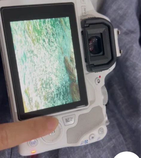 佳能EOS 200D2 II二代 800D...