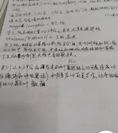 写字  手写  dai写  chao写 中...