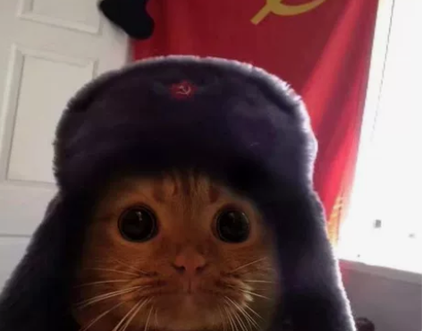 收收收 小米平板5pro，无明显磕碰 有原...