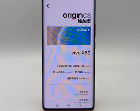 99新vivo vivo X80  12+...