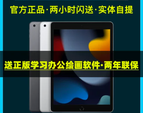 2021款 Apple/苹果 Apple