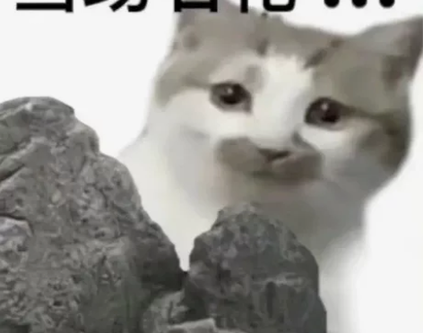 秋招转码咨询 如题,秋招转码,提供秋招转码...