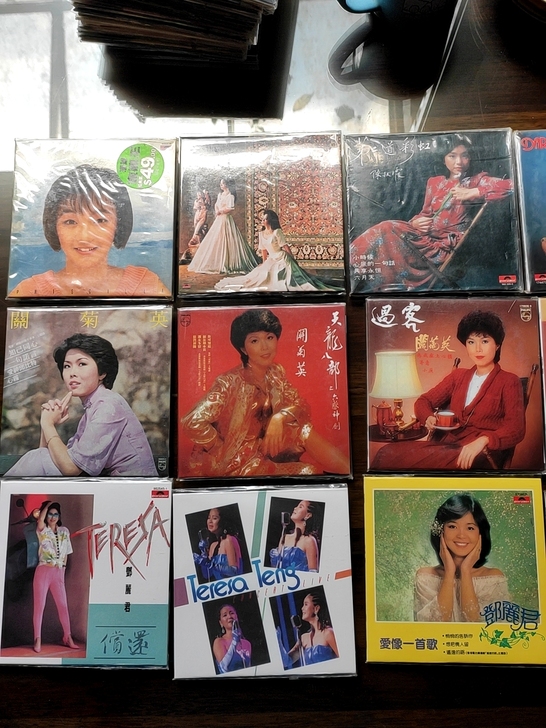 环球复黑王 女歌手 陈慧娴 徐小凤 陈秋霞...