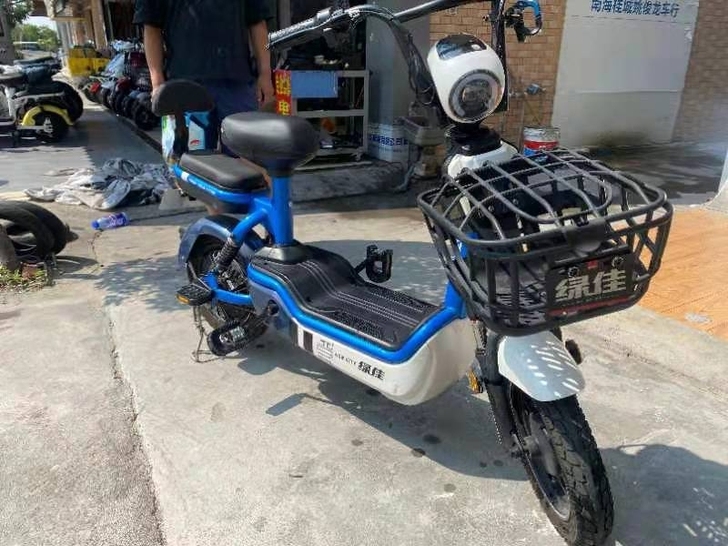 绿佳电动车，新国标，可以上牌，有发票齐全