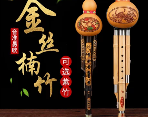 葫芦丝乐器初学者C调降B调D调F演奏防摔儿...
