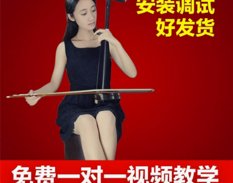 苏州悦扬红木二胡大音量胡琴民族乐器初学者考...