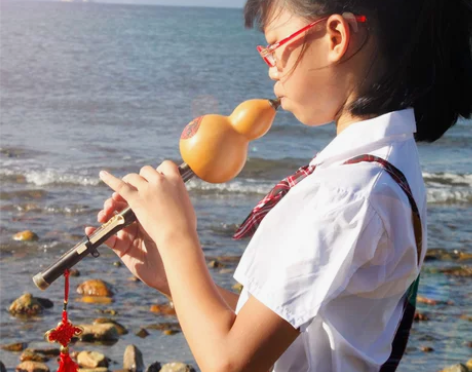 云南葫芦丝乐器初学降B调C调小学生紫竹专业...