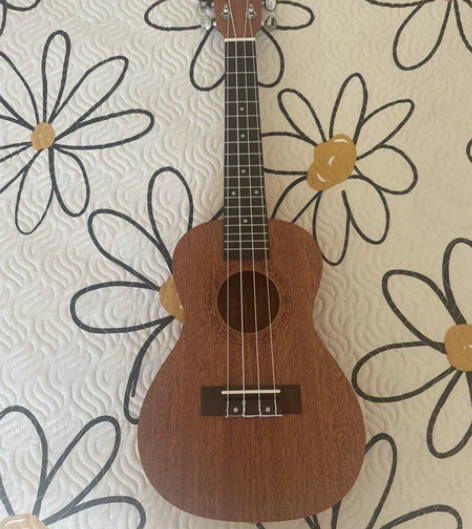 全新尤克里里100元 感兴趣的话点“我想要...