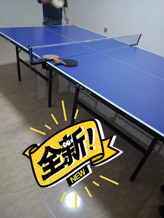 全新  含泪低价出 乒乓球桌家用室内标准可...