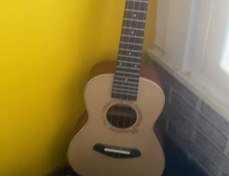 尤克里里，功能正常，成色新，没用过 感兴趣...