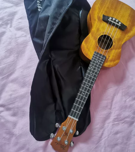 威伯尤克里里,质量挺好的,适合尤克里里入门...