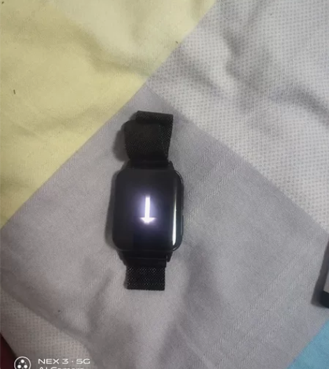 OPPO Watch 版本:故宫联名 网络...