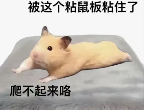 （收）标价左右收11寸iPad Pro20...