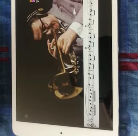苹果A1432    ipad mini ...