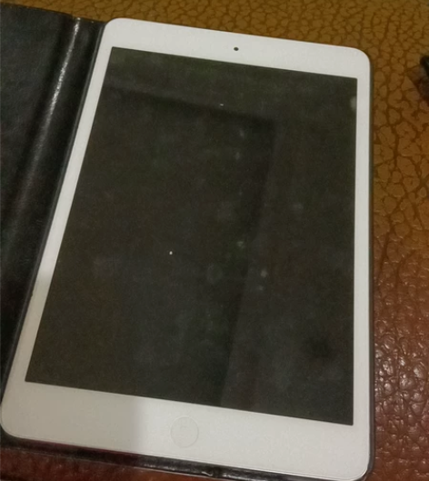 Apple/苹果 iPad Mini 感兴...